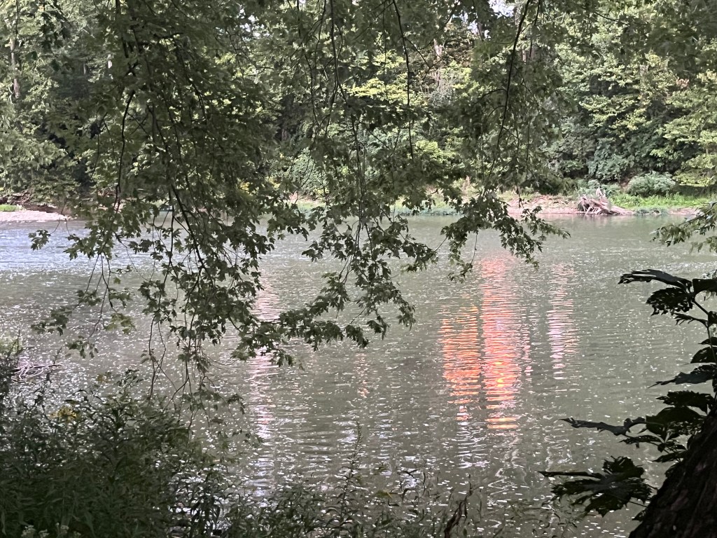 Image of light reflecting off water